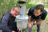 Darren Alsemgeest and Jonathan Darbro crouching examining equipment filled with mosquitoes 