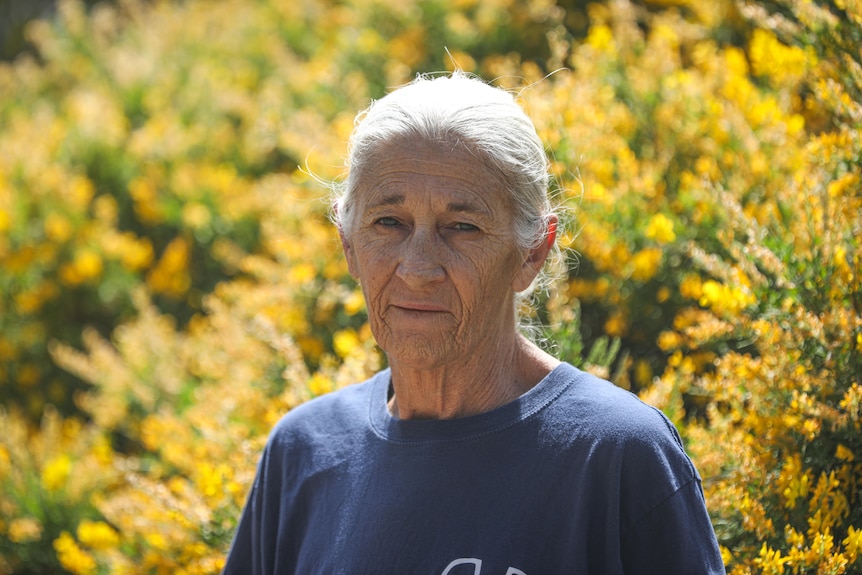 A lady with white hair tied into a pony tail stands in front of yellow blossoming flowers