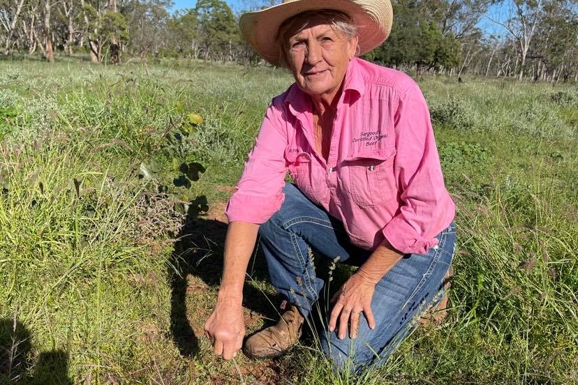 A woman in a pink shirt kneels in a paddock 
