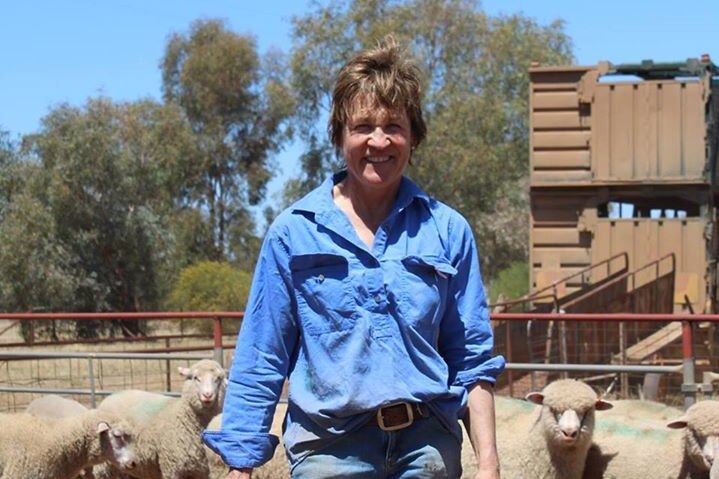 A woman in a blue shirt holding a hat standing in front of some sheep.