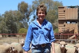 A woman in a blue shirt holding a hat standing in front of some sheep.