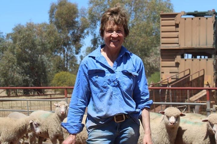 A woman in a blue shirt holding a hat standing in front of some sheep.