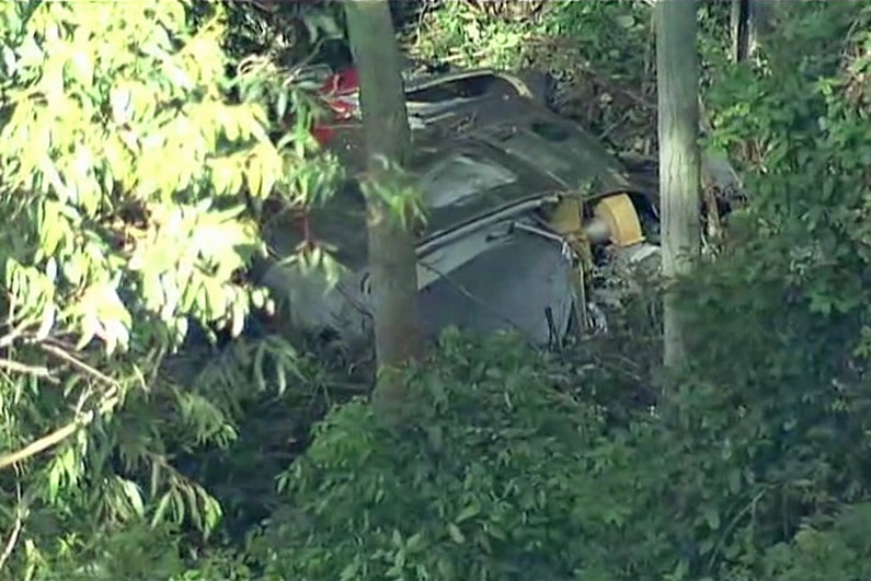 The wreckage of an aircraft can be seen through thick foliage.