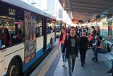 Queensland public transport
