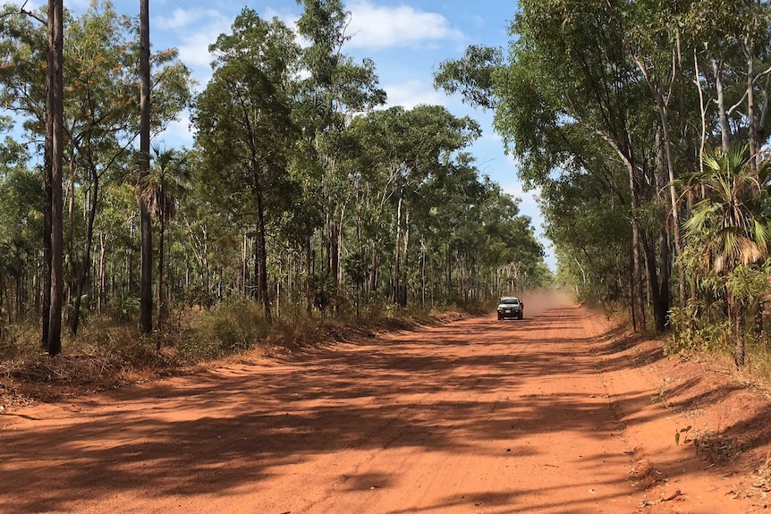 A dirt road lined by trees.