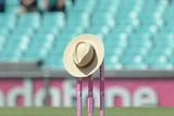 SCG pays tribute to Tony Greig