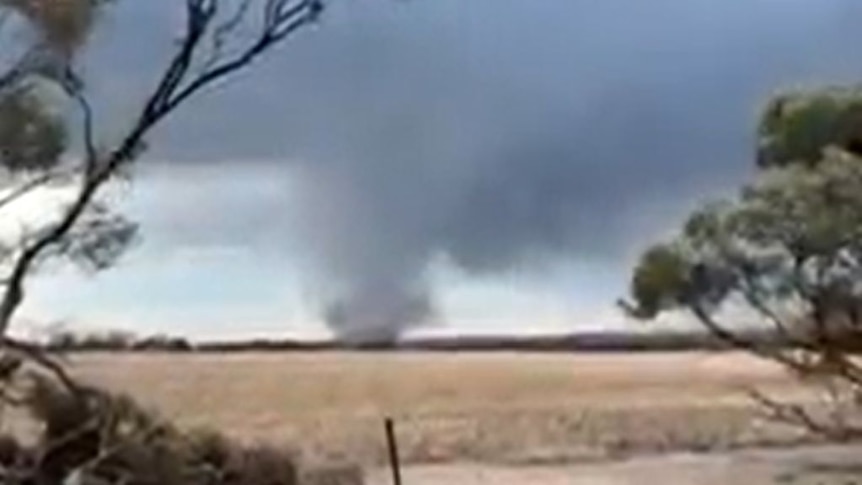 Tornado hits WA's Great Southern region as wet weather forecast for the week