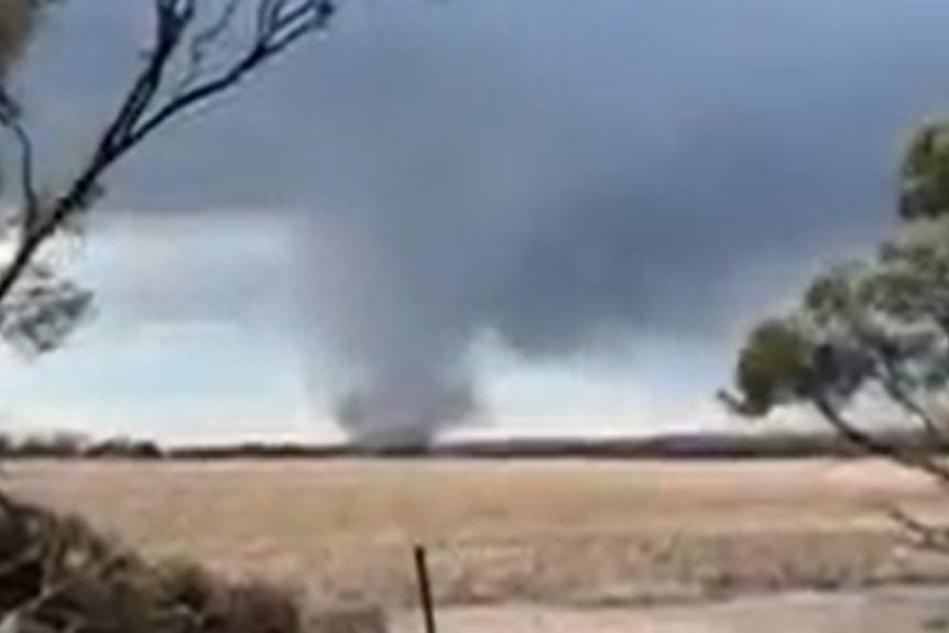 Tornado in WA as severe thunderstorms hit state's south