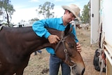 Sean Dillon pats his horse Evelyn after competing at the Clermont 2016 Gold Cup Campdraft.