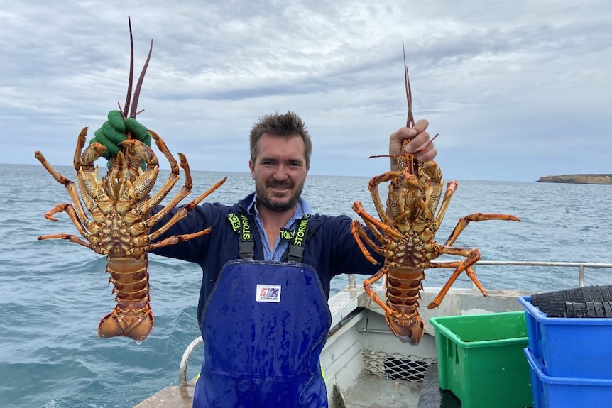 A man on a boat at sea holds up two lobsters.