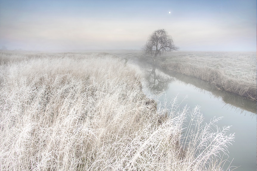 Fog sits in a frosty valley