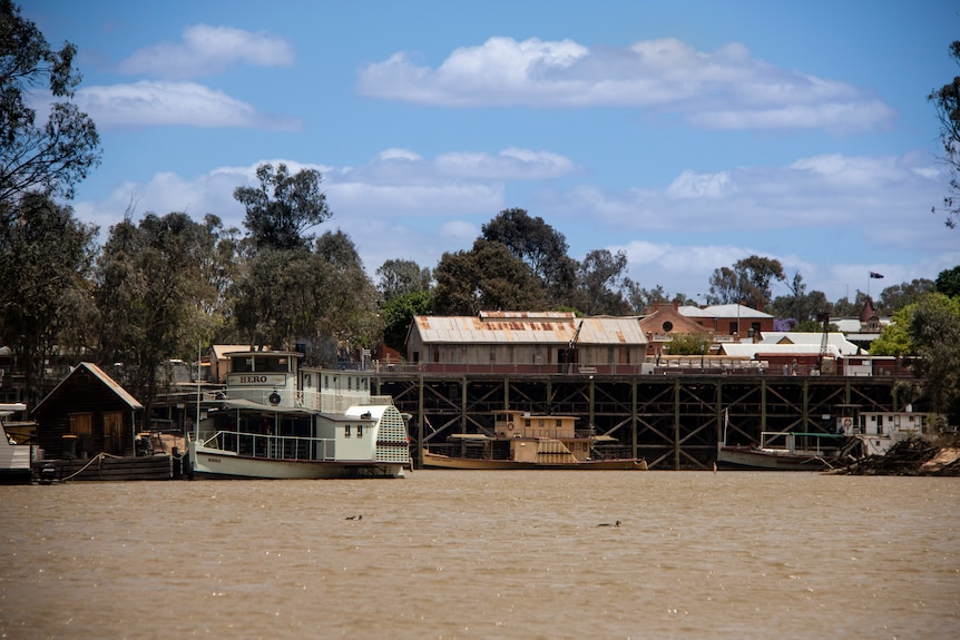 Brown water of the Murray, a paddle steamer and the banks of Echucha, with trees and blue sky behind.