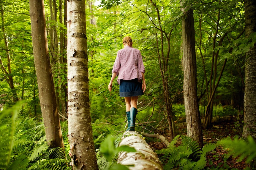 A walk in the forest.