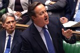 David Cameron gestures while speaking in parliament.