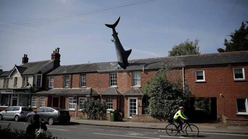 a sculpture of the shark is wedged headfirst into a roof of a red brick house on a street where a person on a bike rides by