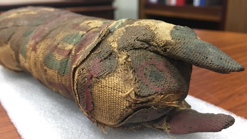 A mummified cat with green and red painted marking and brown resinous material on the wrapping around it.