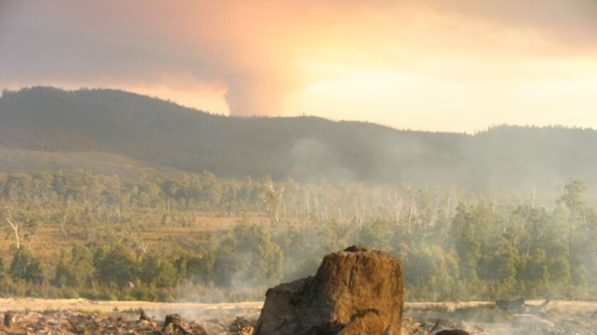 Thick smoke blankets parts of Tasmania as logging waste is burnt.