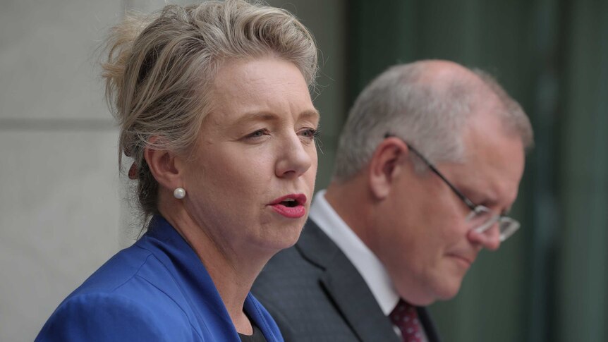 Close up of Bridget McKenzie in a blue suit talking at a press conference, with Scott Morrison in the background