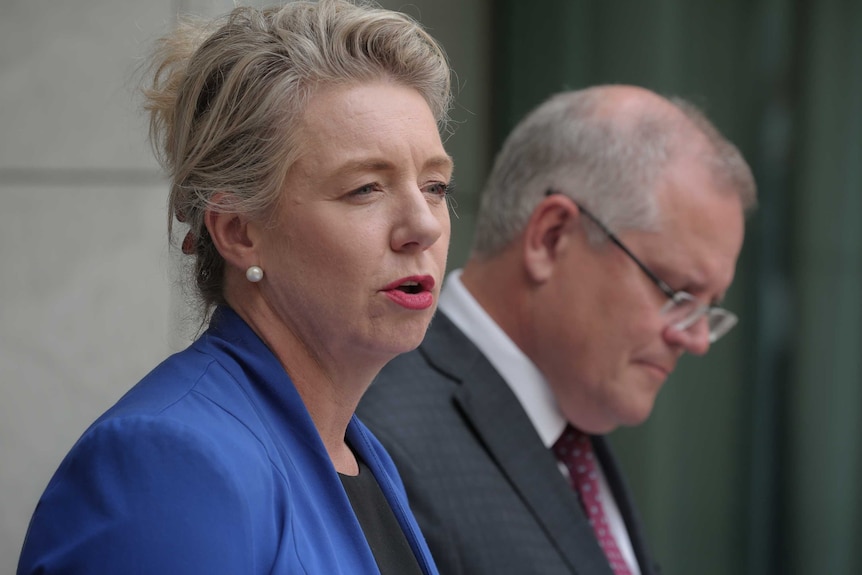 Close-up of Bridget McKenzie in a blue suit speaking at a press conference, with Scott Morrison in the background