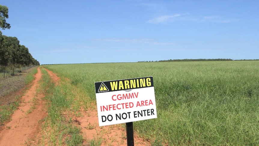 A quarantine sign in front of a crop of cavalcade.