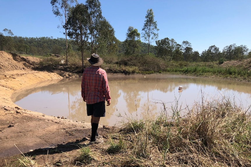 Farmer looking at  a part filled dam.
