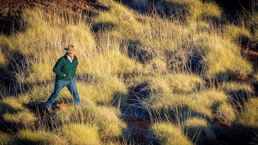 A man strides through a field of spiky spinifex, lit by the setting sun.