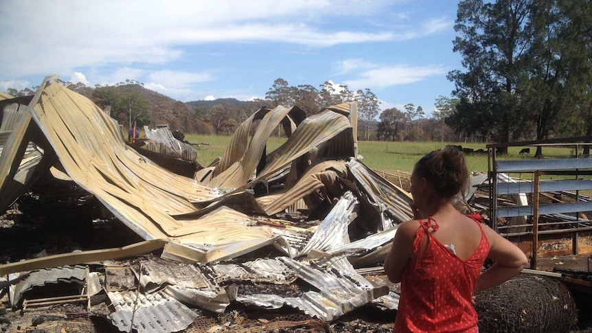 S resident stands looking at one of the properties destroyed during the Pappinbarra fire in February.