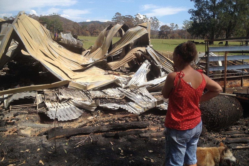S resident stands looking at one of the properties destroyed during the Pappinbarra fire in February.