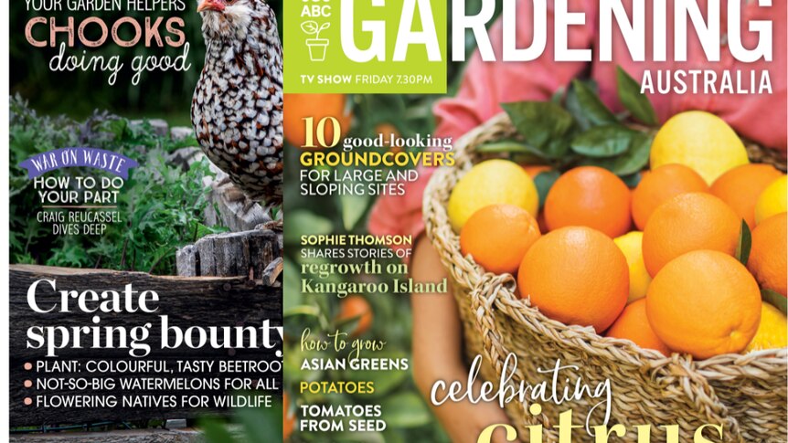 Festive favourites - ABC Gardening Australia magazine