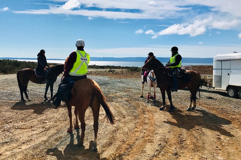 Horses and riders at the emergency exercise in Tasmanian central highlands, September 22, 2018.