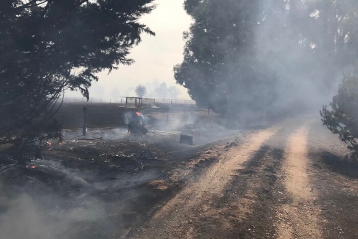 Smoke covers a road near a burning stump.
