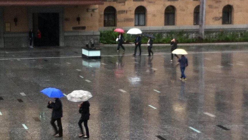 Umbrellas out in King George Square