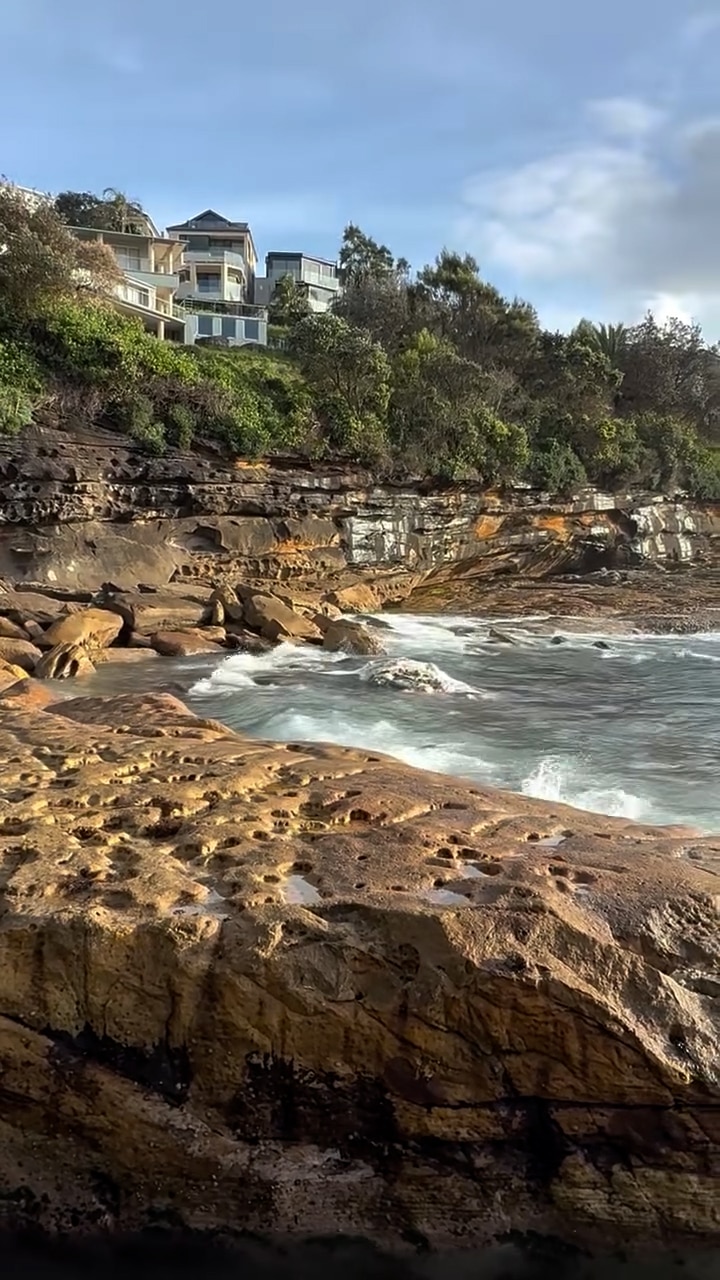Eastern Sydney beaches close after whale carcass washes up