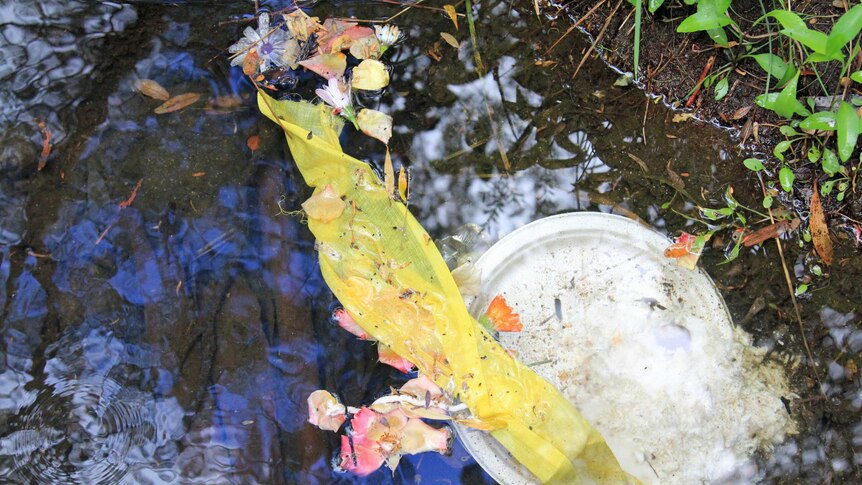 A plastic lid, a yellow piece of plastic and fake flowers in a small creek