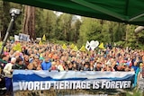 Hundreds of people rally in Tasmania's Upper Florentine Valley to protest against the federal government's plan to delist 74,000 hectares of forest.