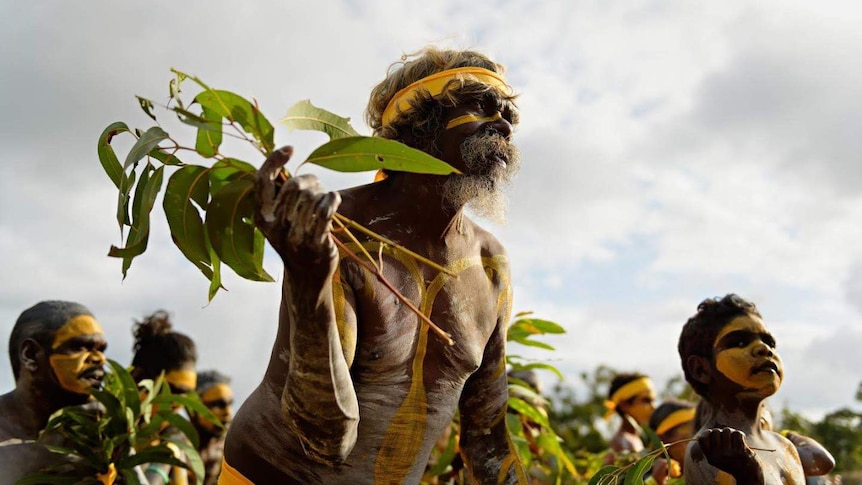 Indigenous dancer holding gum leaves and wearing yellow body paint.