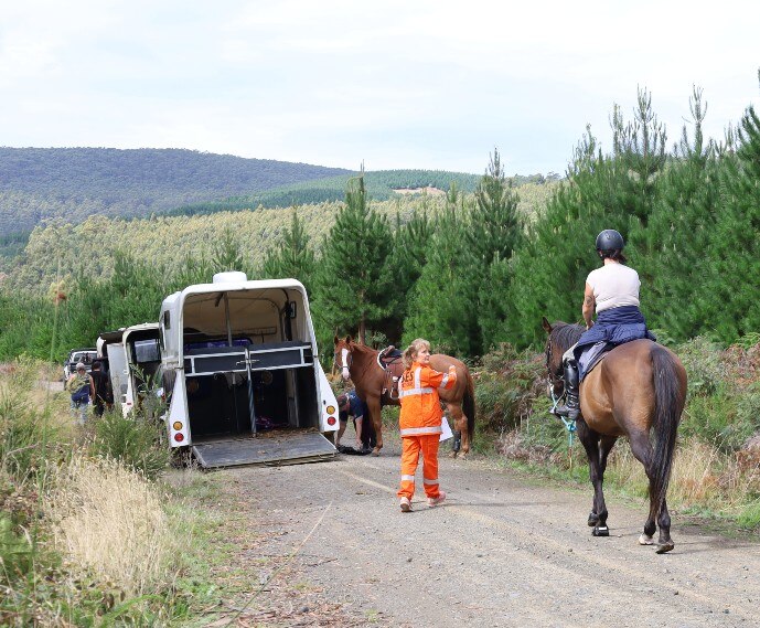 Two horses and riders near a horse float in a bushland area