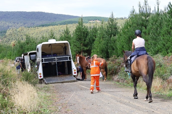 Two horses and riders near a horse float in a bushland area