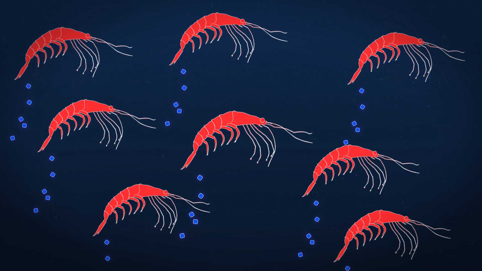 Illustration of multiple brightly coloured Krill depositing waste in ocean.