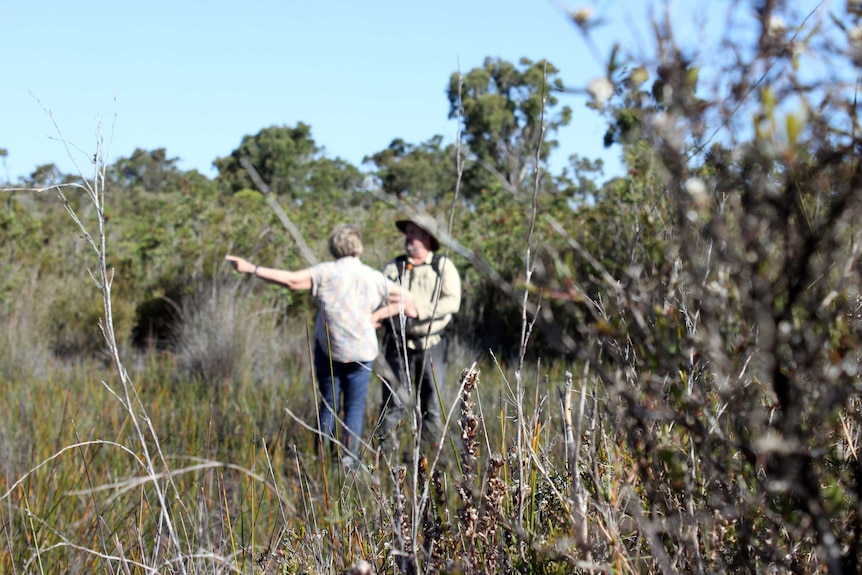Two figures chat while standing in bushland.