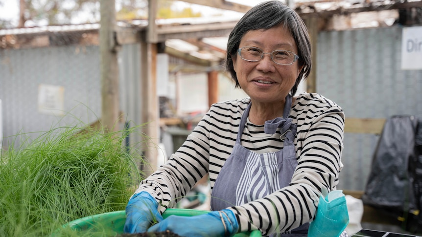 A woman sits at a table, wearing plastic gloves and separates native grass plants