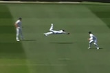 A screenshot shows Jason Sangha diving through the air to take the catch