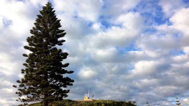 Work will start in the coming weeks to stabilise Newcastle's iconic Fort Scratchley headland.