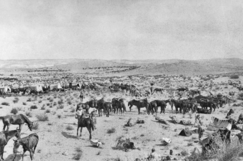 Black and white image of Australian camp. Horses and wagons are in the foreground and in the distance horse lines can be seen.