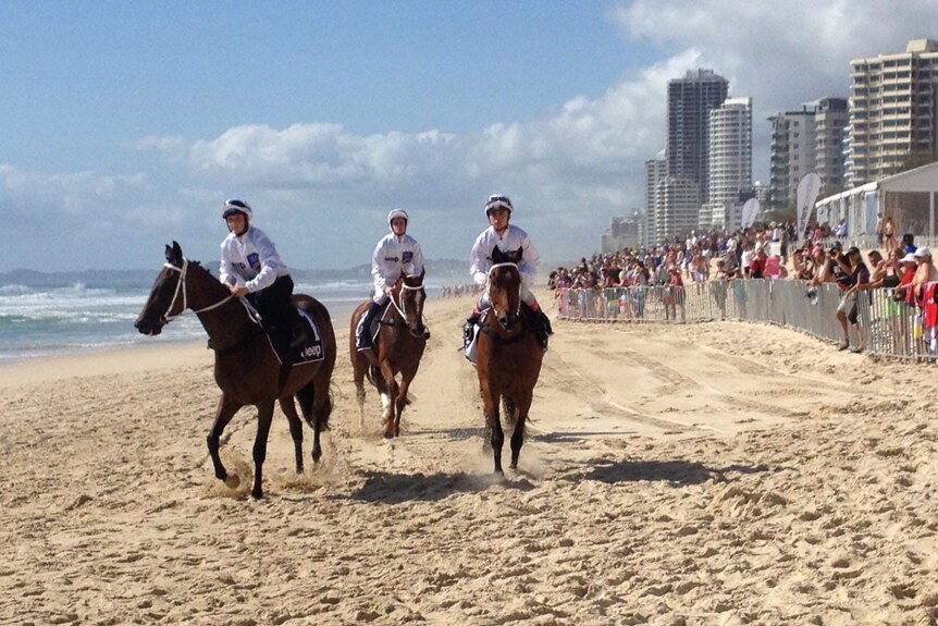 Magic Millions barrier draw at Surfers Paradise.