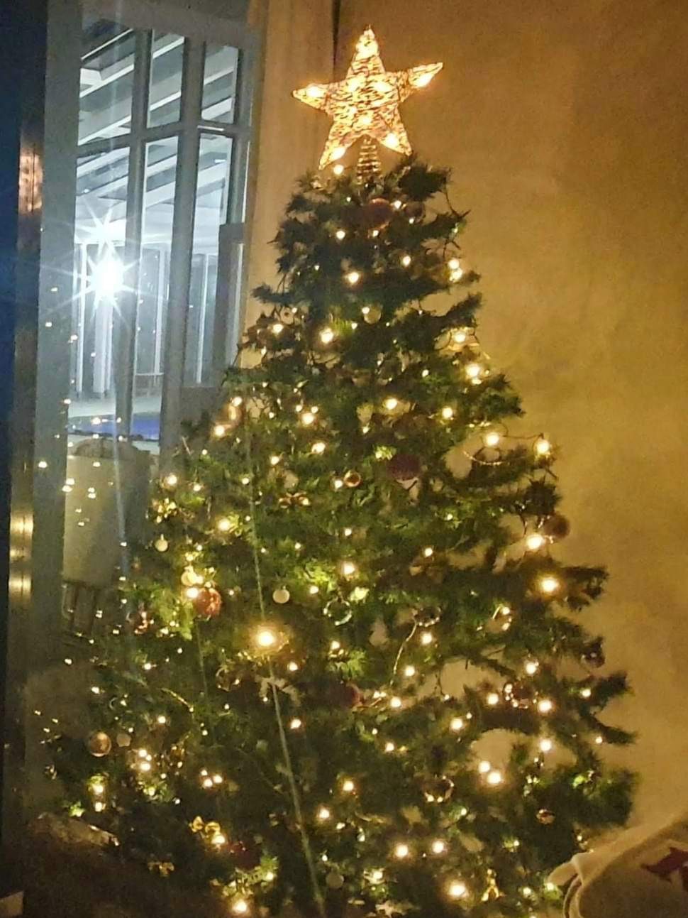 A Christmas tree with decorations, which was gifted by Kirrily through a buy-nothing group.
