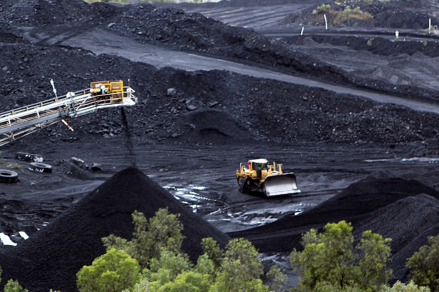 Coal is stockpiled at the Blair Athol mine