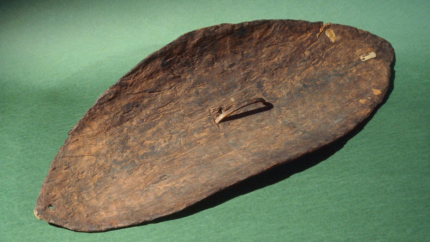 An oval-shaped, curved wooden shield. In the centre of the back of the shield is a wooden handle.