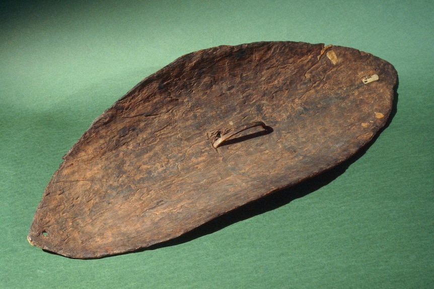 An oval-shaped, curved wooden shield. In the centre of the back of the shield is a wooden handle.