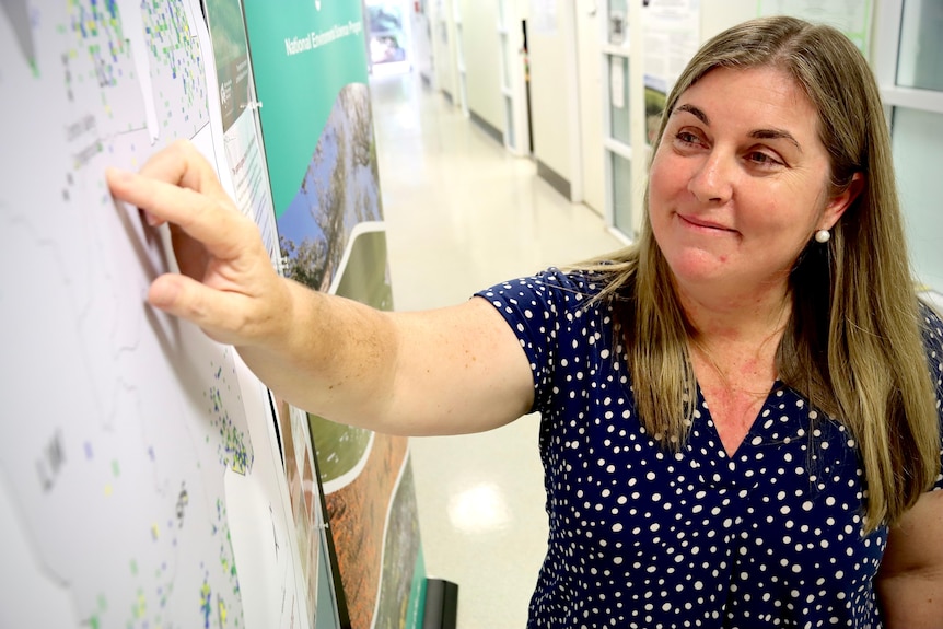 A woman points at a map on a wall